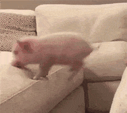 忽略這點,自動售貨機收益少七成!(圖2) 忽略這點,自動售貨機收益少七成!(圖2)