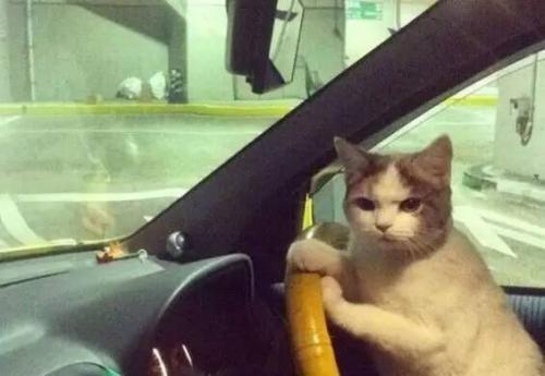 大尺度展會，提前小劇透！